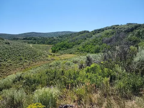 Lot 12 Harrison Creek Road, Collbran, CO 81624