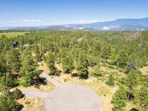 Tbd Big Canyon Point, Ridgway, CO 81432