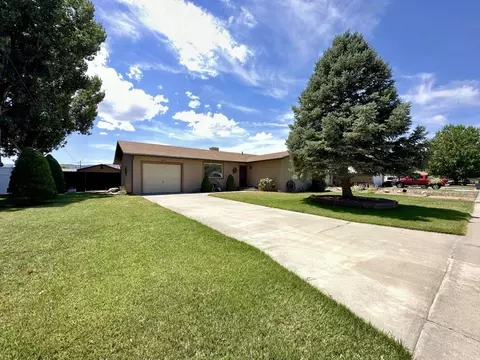 1042 E Grand Ave, Fruita, CO 81521 photo 25