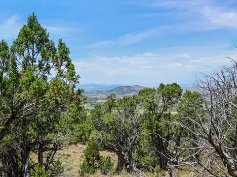 50245 Eagles Way, Mesa, CO 81643 photo 10