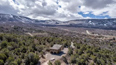 49566 N Coon Creek Rd, Mesa, CO 81643 photo 28