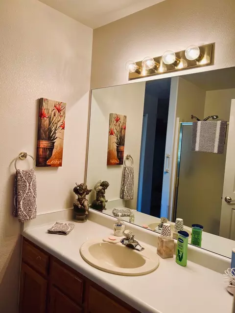 511 Hazel Cir, Fruita, CO 81521 photo 11