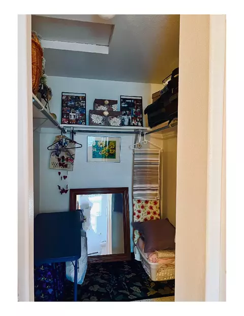 511 Hazel Cir, Fruita, CO 81521 photo 14