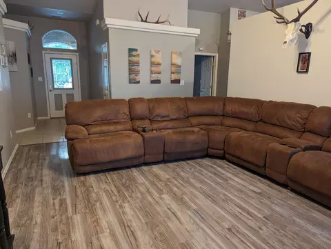 726 Silverplume Dr, Fruita, CO 81521 photo 13