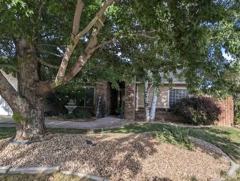 726 Silverplume Dr, Fruita, CO 81521