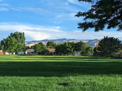 726 Silverplume Dr, Fruita, CO 81521 photo 16