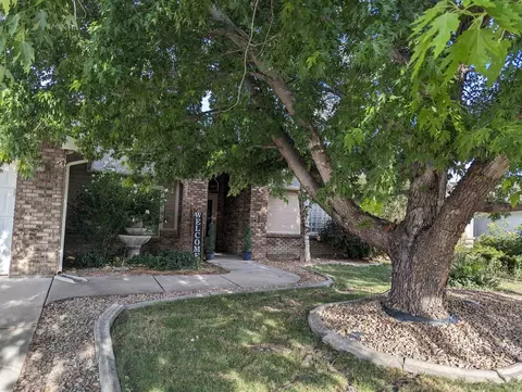 726 Silverplume Dr, Fruita, CO 81521 photo 2