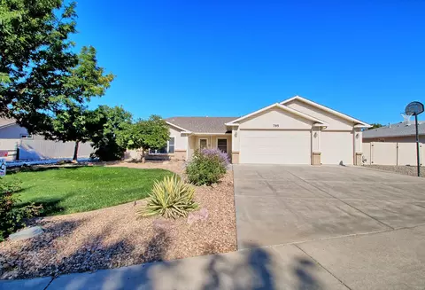 795 Amethyst Dr, Fruita, CO 81521