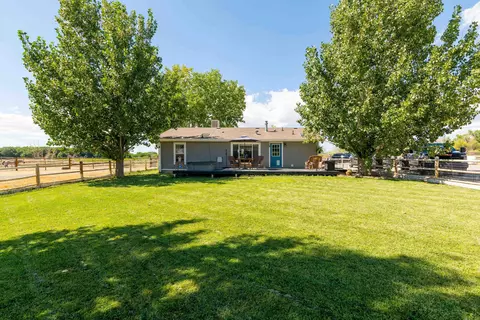 1668 18 Rd, Fruita, CO 81521 photo 21