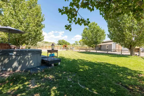 1668 18 Rd, Fruita, CO 81521 photo 19