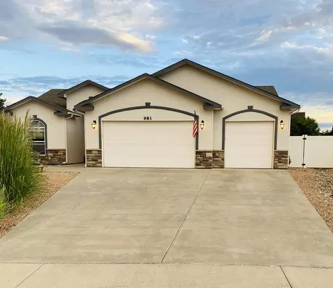 981 Azurite Dr, Fruita, CO 81521