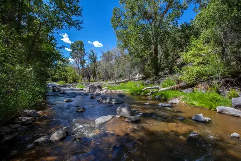 521 Spring St, Collbran, CO 81624 photo 33