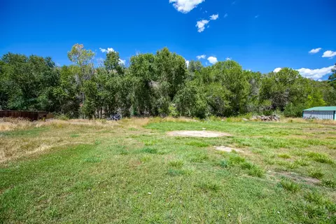 521 Spring St, Collbran, CO 81624 photo 32