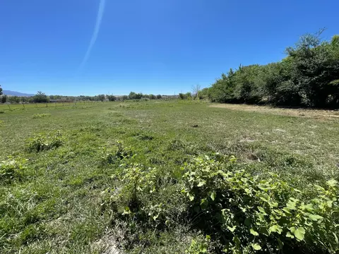 574 34 34 Rd, Clifton, CO 81520