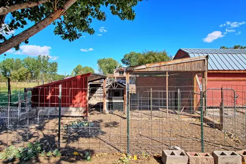 967 18 Rd, Fruita, CO 81521 photo 17