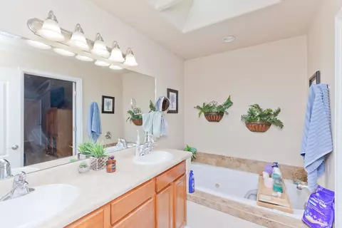 445 Amethyst Dr, Fruita, CO 81521 photo 29