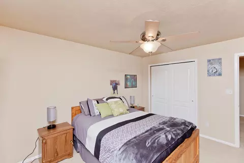 445 Amethyst Dr, Fruita, CO 81521 photo 22