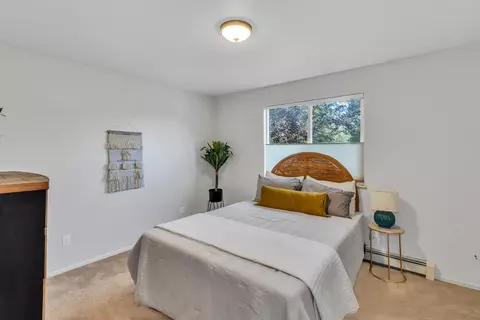 1131 Walnut St, Fruita, CO 81521 photo 17