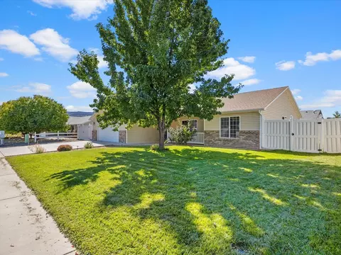 635 Stone Mountain Dr, Fruita, CO 81521 photo 3