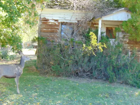 306 Putney Ave, Collbran, CO 81624 photo 2
