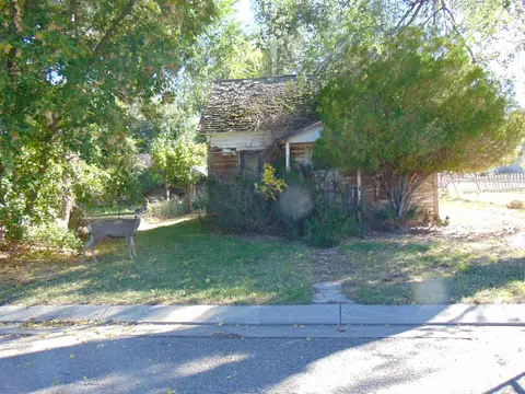 306 Putney Ave, Collbran, CO 81624 photo 3