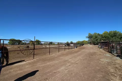 1873 K Rd, Fruita, CO 81521 photo 22