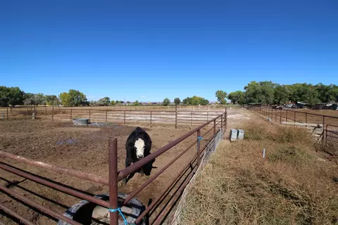 1873 K Rd, Fruita, CO 81521 photo 26
