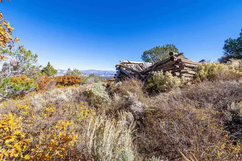 Tbd 52 5/10 Road, Collbran, CO 81643