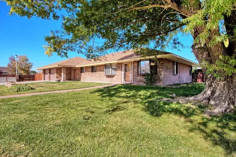 297 W Roberson Dr, Fruita, CO 81521 photo 3
