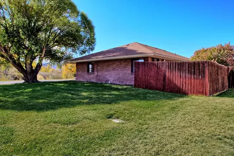 297 W Roberson Dr, Fruita, CO 81521 photo 5
