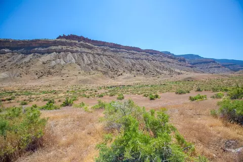 648 39 Rd, Palisade, CO 81526
