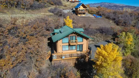 67950 Fawn Ct, Collbran, CO 81624