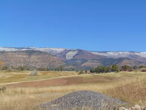 Tbd Grove Creek Road, Collbran, CO 81624