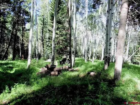 552 Snowshoe Ln, Cimarron, CO 81220