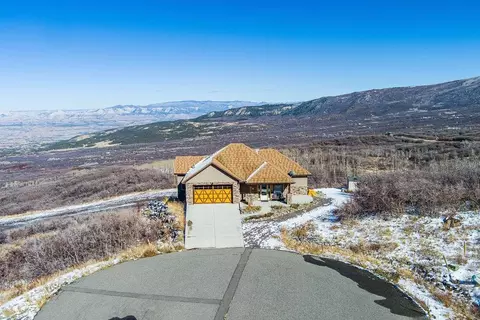 433 Coyote Run, Mesa, CO 81643 photo 31