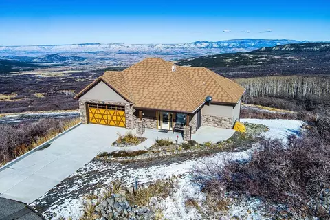 433 Coyote Run, Mesa, CO 81643 photo 2
