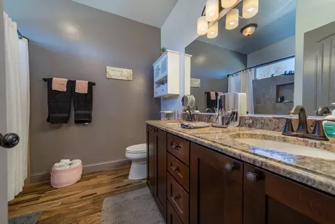 243 Javan Ct, Fruita, CO 81521 photo 13
