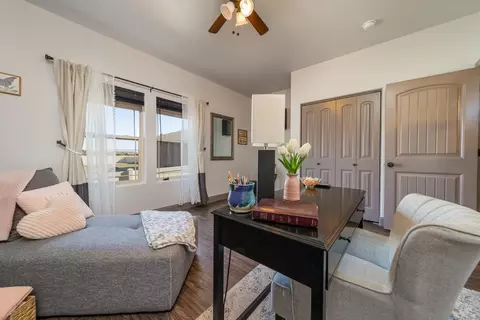 243 Javan Ct, Fruita, CO 81521 photo 15
