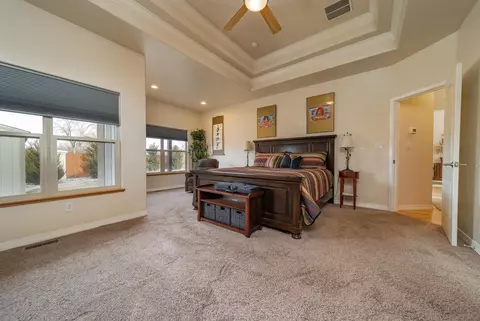 388 Belden Ct, Fruita, CO 81521 photo 11