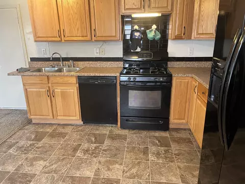 1401 Aquarius Ave, Fruita, CO 81521 photo 8