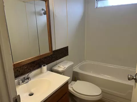 1401 Aquarius Ave, Fruita, CO 81521 photo 17