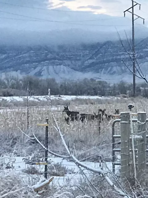 Other - 1268 17 12 Rd, Fruita, CO 81521 photo 5 of 10