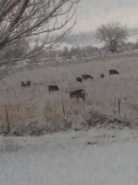 Other - 1268 17 12 Rd, Fruita, CO 81521 photo 6 of 10