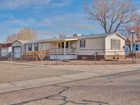 542 Libra Way, Fruita, CO 81521 photo 3