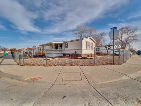 542 Libra Way, Fruita, CO 81521 photo 4