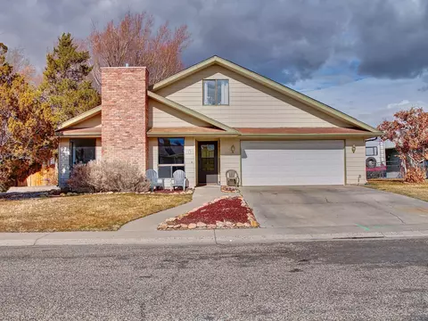 209 W Meadow Ave, Fruita, CO 81521 photo 21