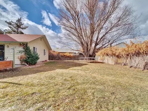 209 W Meadow Ave, Fruita, CO 81521 photo 2
