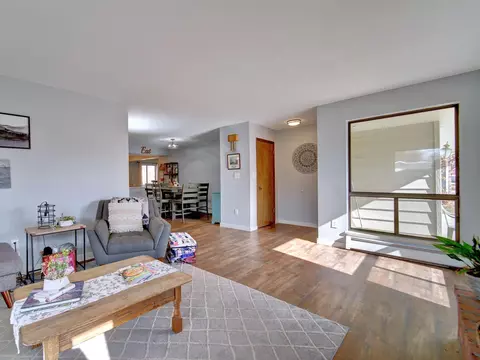 209 W Meadow Ave, Fruita, CO 81521 photo 4