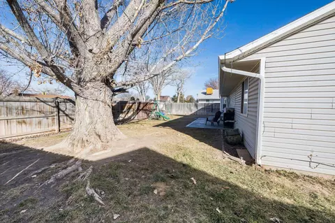 1145 Walnut St, Fruita, CO 81521 photo 16