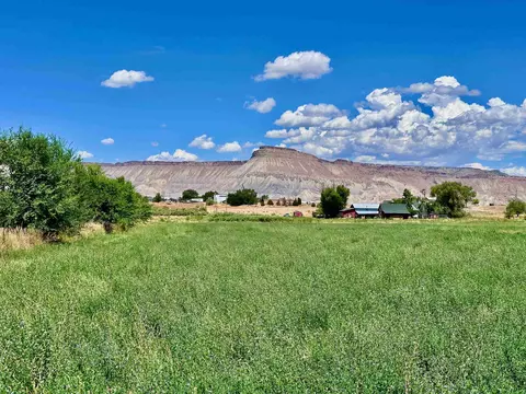 3429 D Rd, Palisade, CO 81526